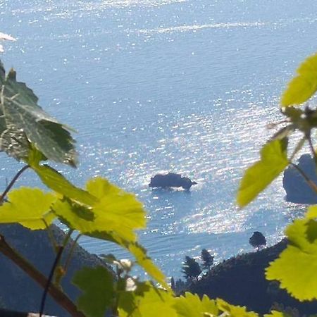 Casa Il Faro Villa Con Piscina คาสเตลโมลา ภายนอก รูปภาพ