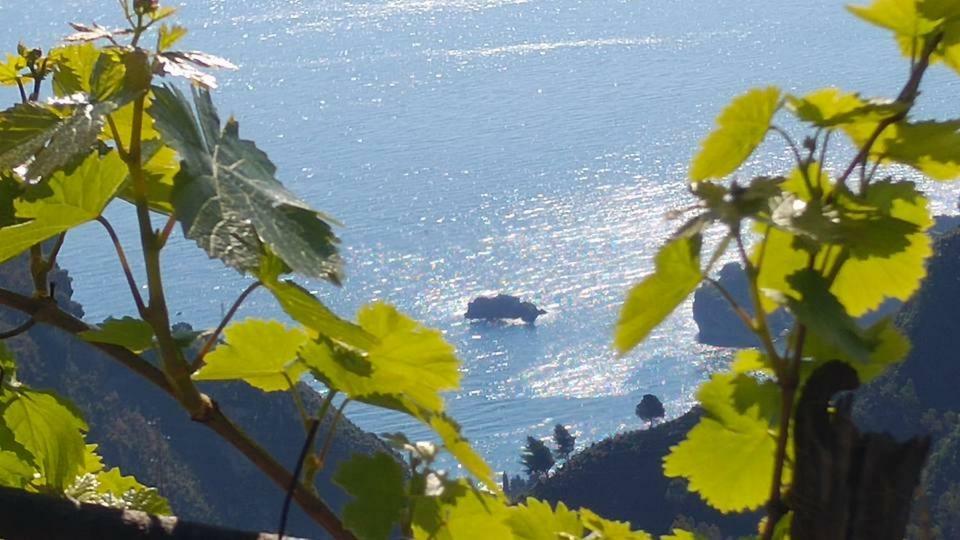 Casa Il Faro Villa Con Piscina คาสเตลโมลา ภายนอก รูปภาพ